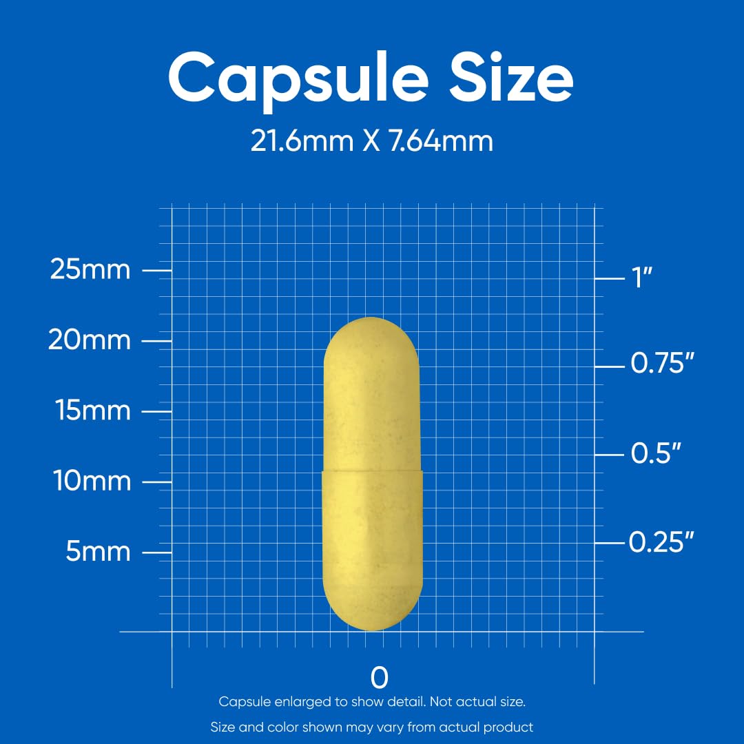 Nutricost Vitamin B Complex 462mg packaged capsules for on-the-go wellness.