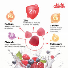 NutriGamot vegan electrolyte gummies ideal for on-the-go rehydration.