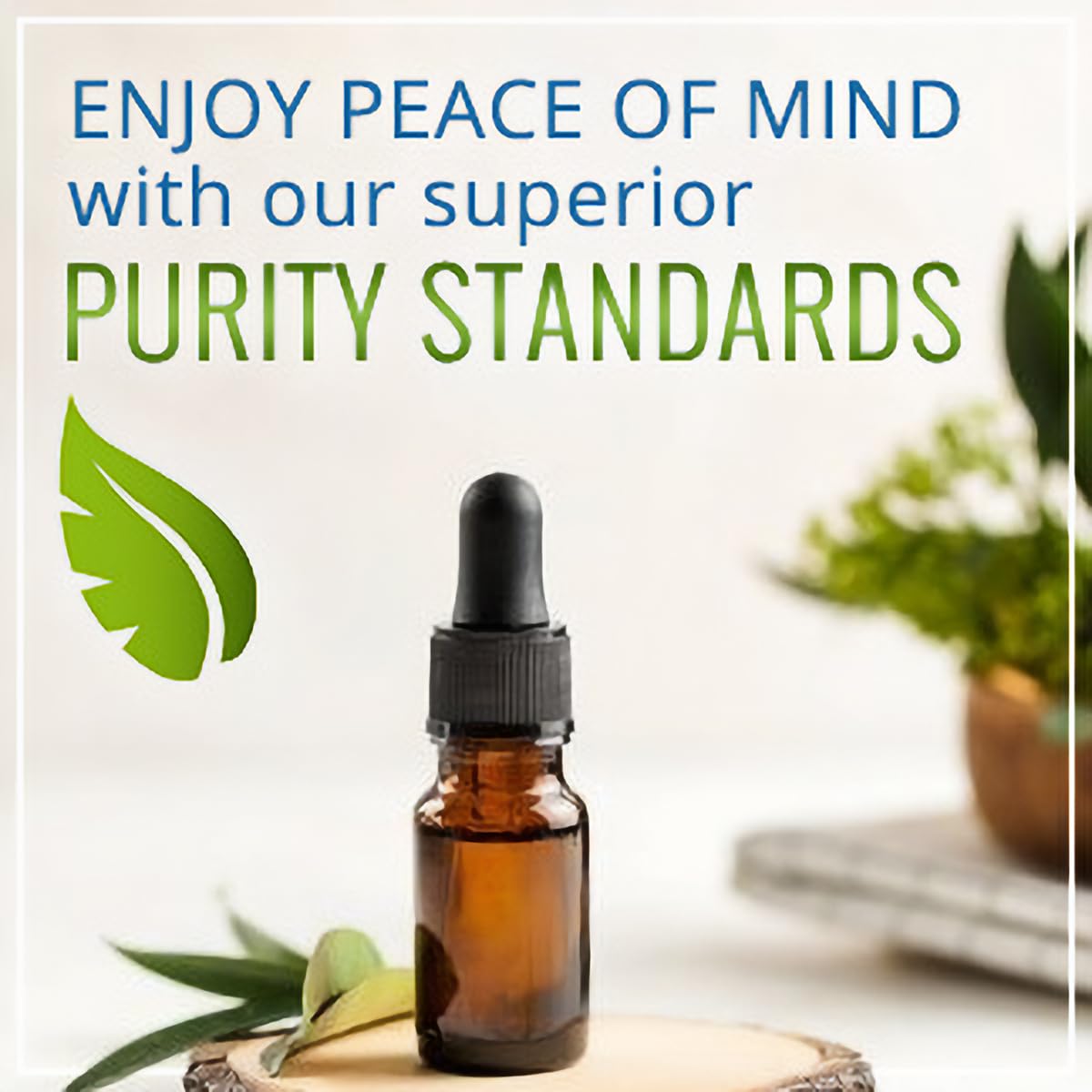 NutriNoche iron drops on the go for portable supplementation.