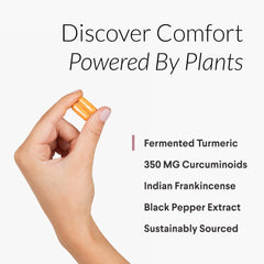Nutritional Roots fermented turmeric close-up highlighting potent curcuminoids
