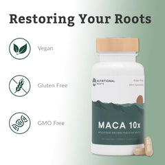Nutritional Roots gelatinized maca concentration, optimized absorption
