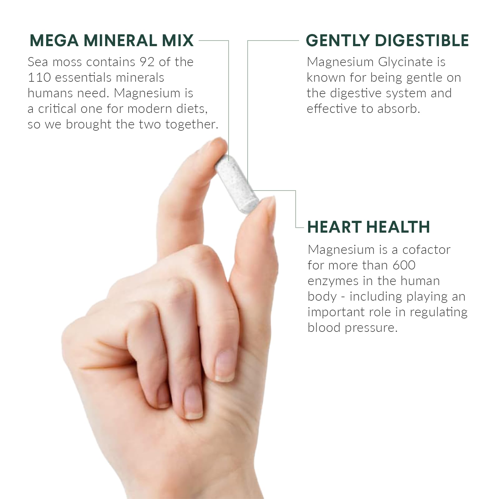 Nutritional Roots label close-up showing minerals and branding.