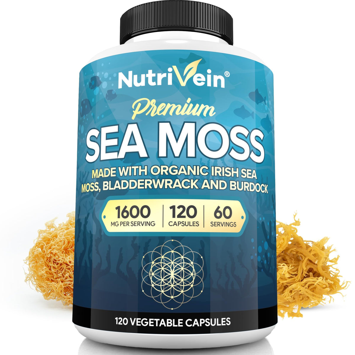 Nutrivein Sea Moss 1600mg bottle for easy daily wellness routine
