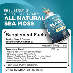 Nutrivein Sea Moss 1600mg capsules for convenient daily supplementation