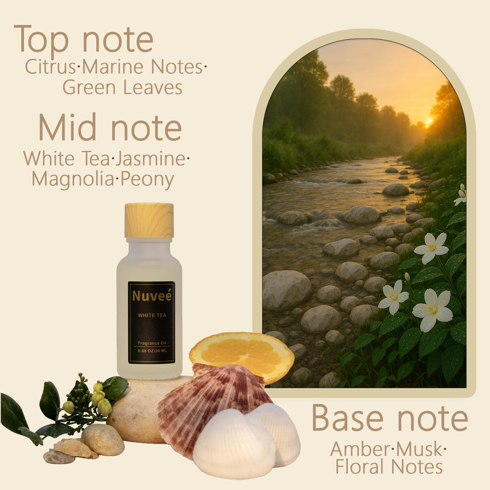 Nuveé Sleek diffuser interior suggests modern clutter-free decor
