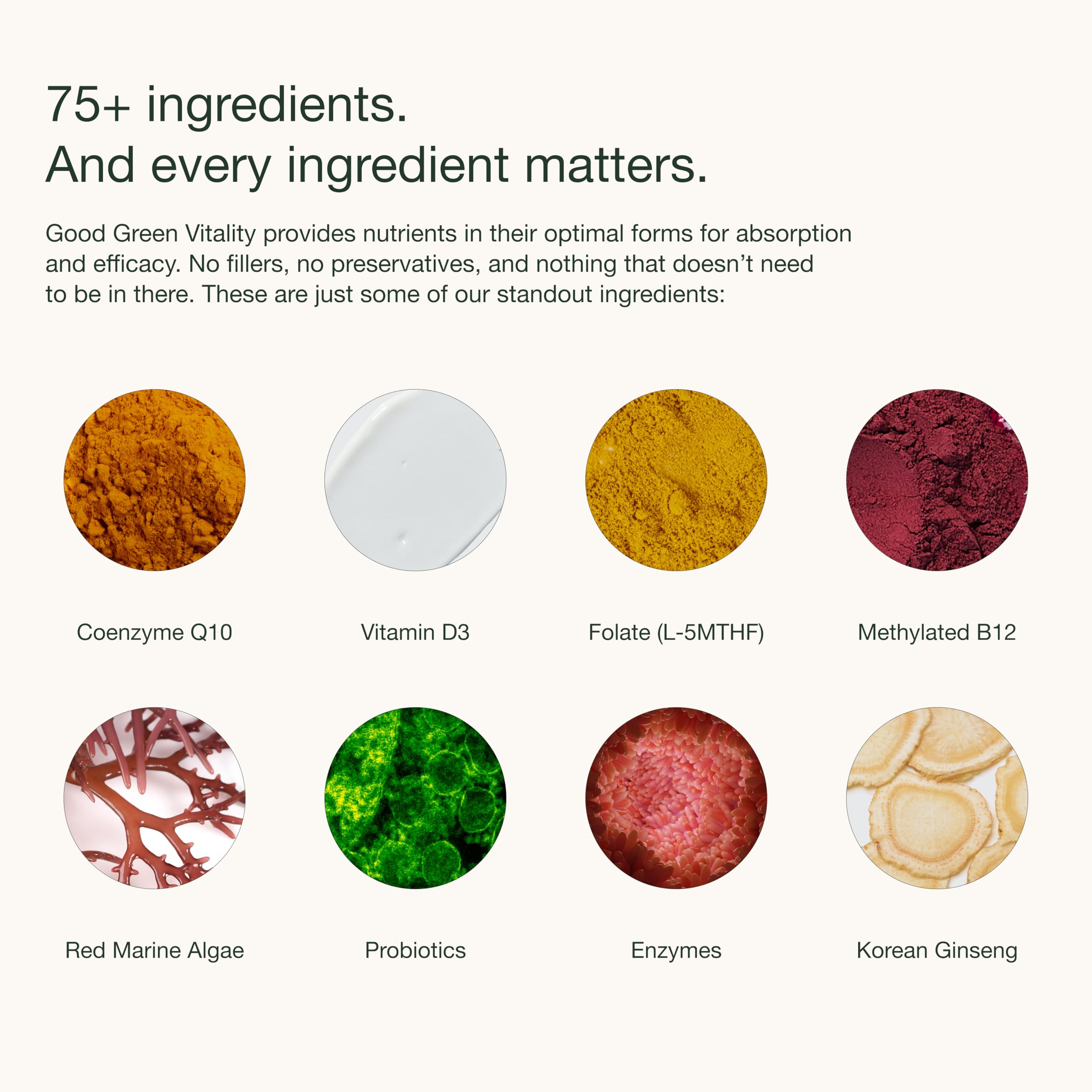 Nuzest powder being mixed into water shows versatile usage in drinks