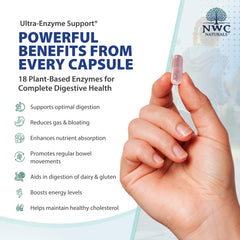 Capsules close-up reveals vegetarian enzymes for digestion.