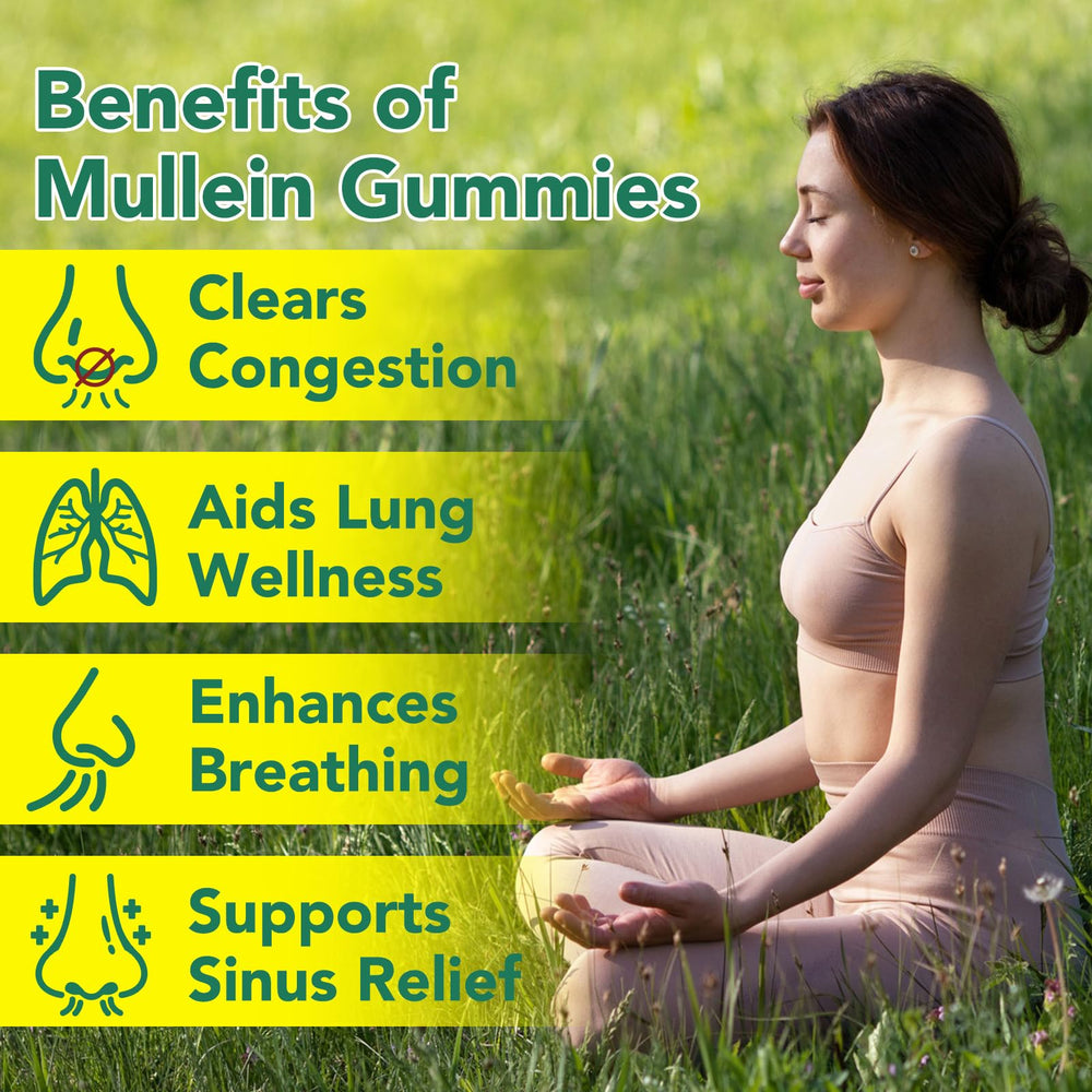 Nyloriaine Mullein Gummies packaging highlights immune support messaging.