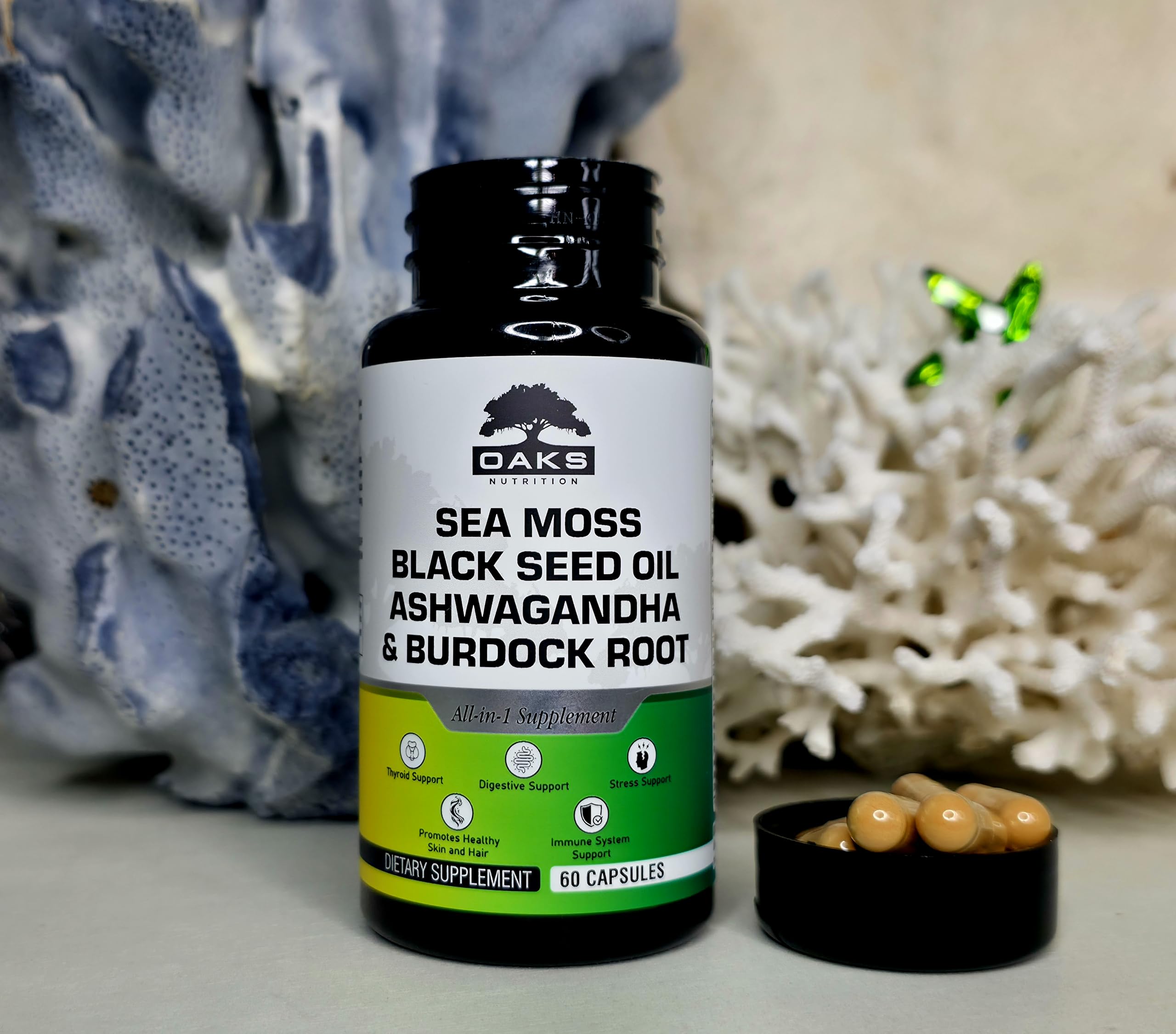 Ashwagandha capsules from Oaks Nutrition ready for daily use