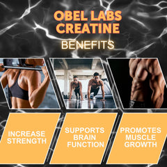 Obel Creatine Monohydrate 500g packaging shows GMP quality and value.