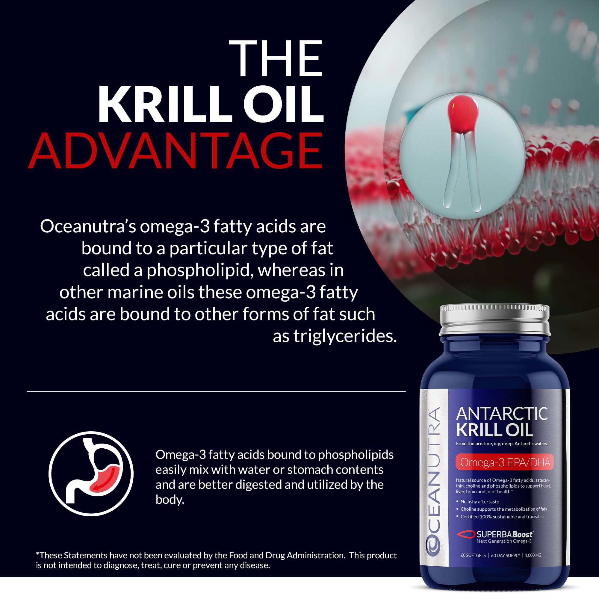 Oceanutra high-absorption omega-3 capsules illustrate faster uptake and fewer aftertastes.
