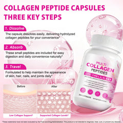 Ocnisdns Multi-Collagen capsules poured for easy daily supplementation