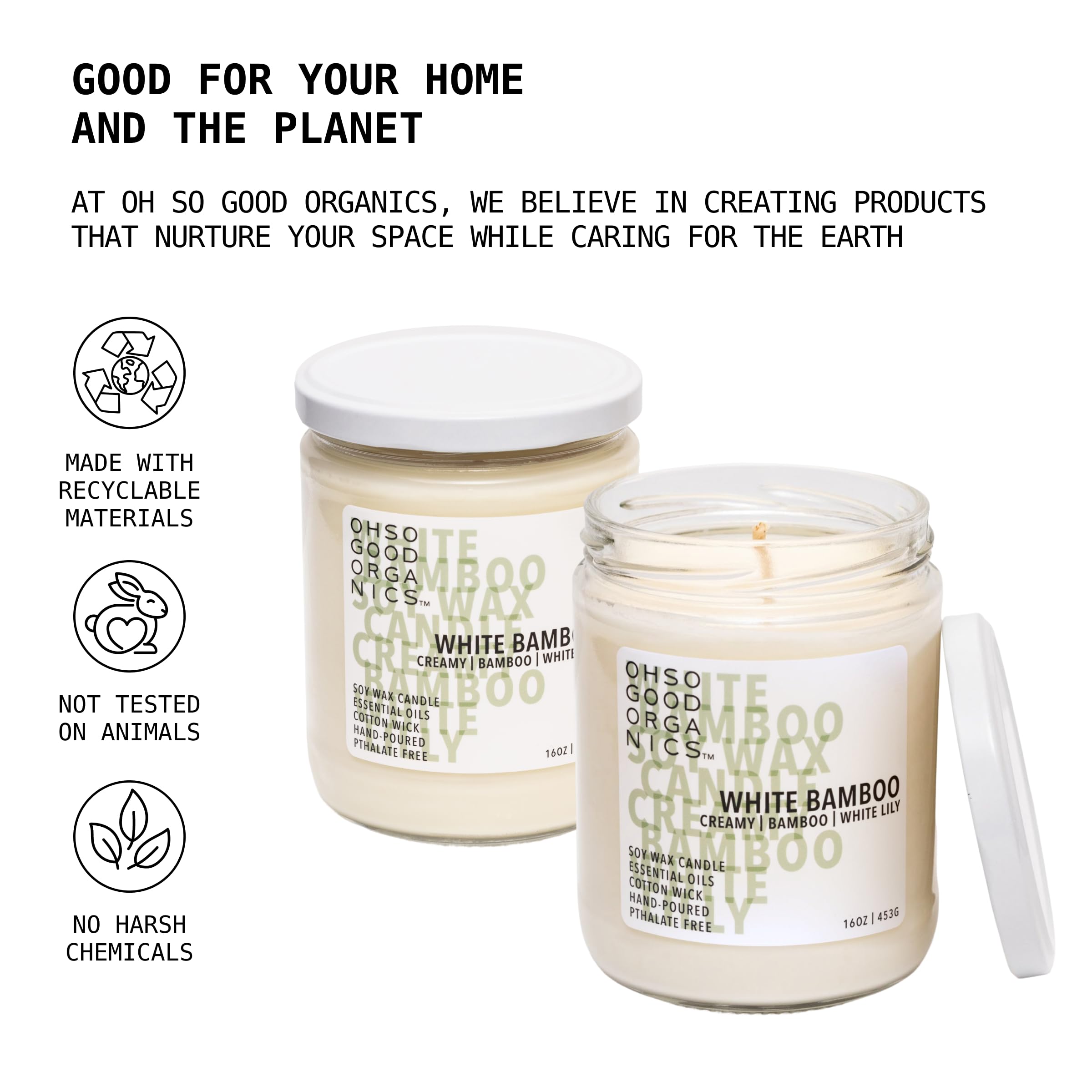 OH SO GOOD ORGANICS fall candle adding seasonal ambiance