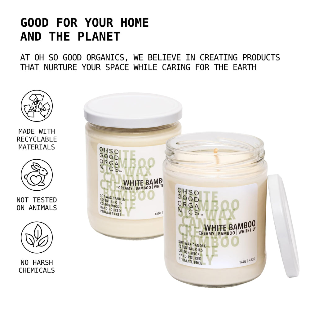 OH SO GOOD ORGANICS fall candle adding seasonal ambiance