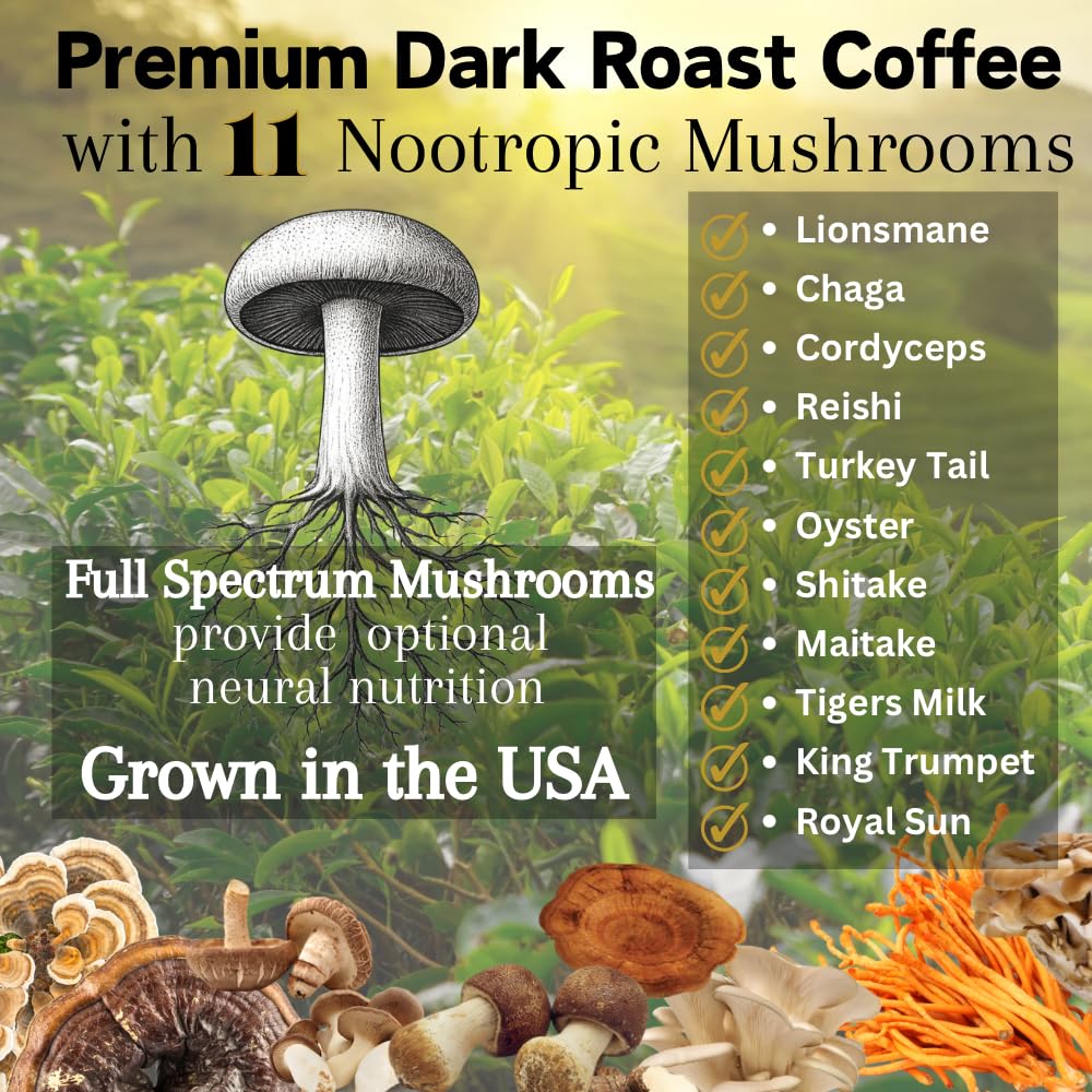 OhmYes 11 Mushroom Coffee + Cacao powder being stirred signals smooth, balanced vitality for the day.