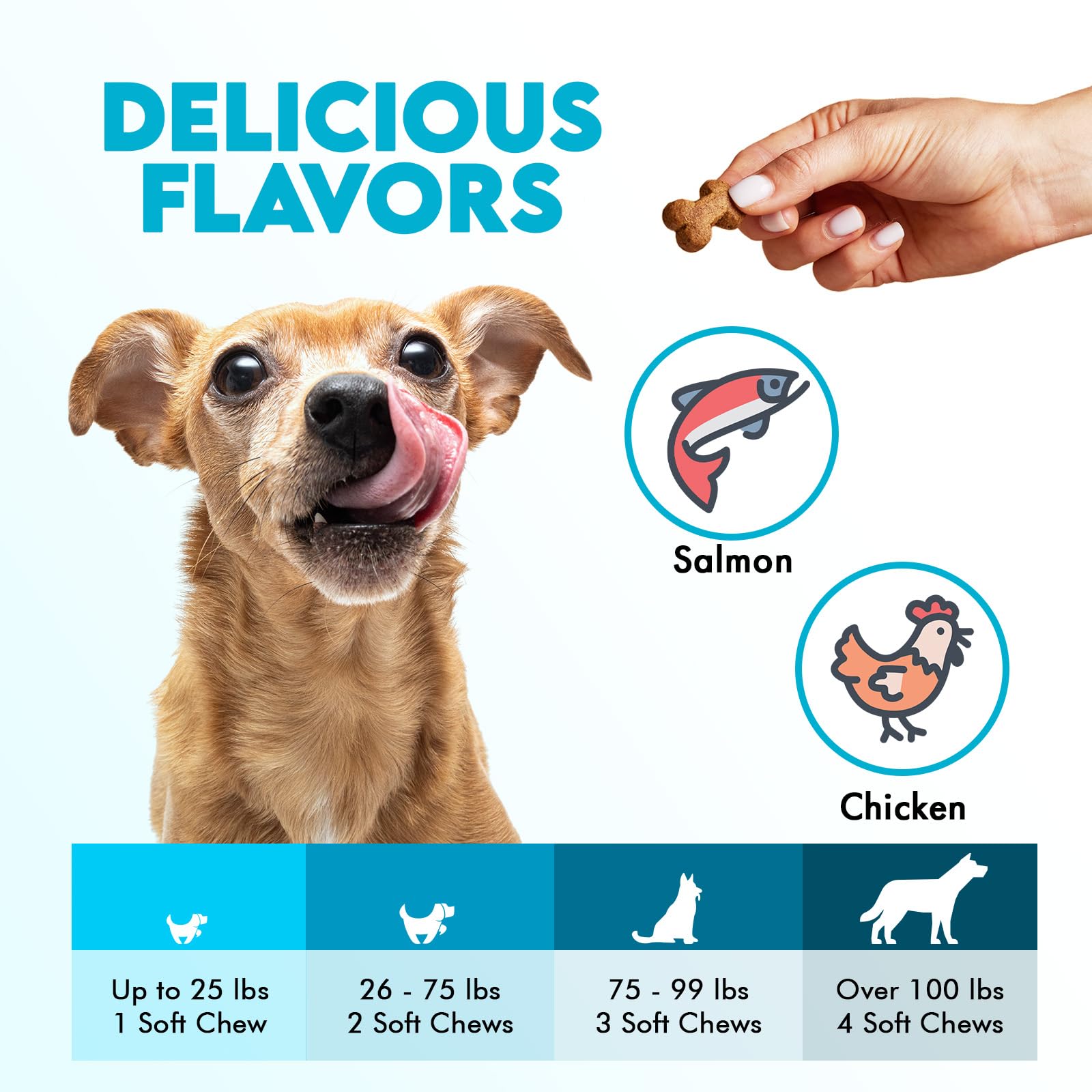 Dog after using OKKÖBI Omega 3 chews with a glossy coat