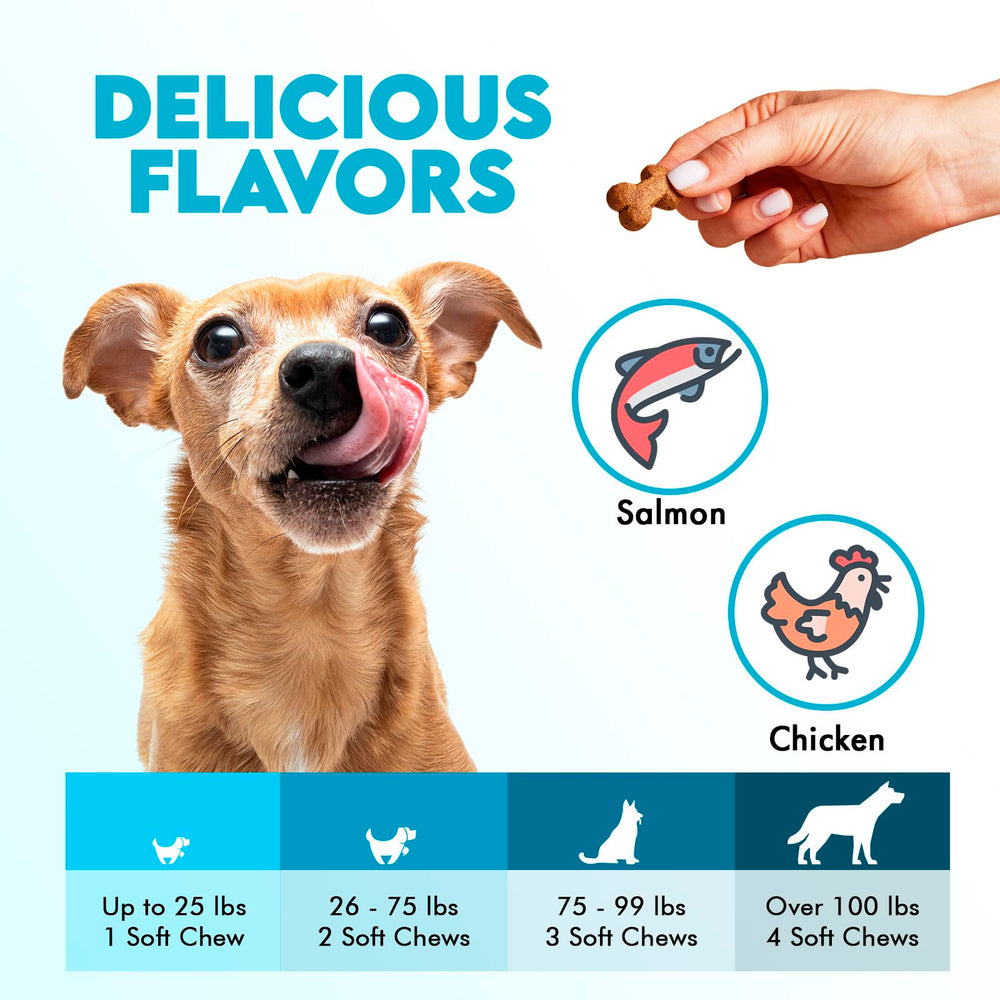 Dog after using OKKÖBI Omega 3 chews with a glossy coat