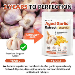 OLELON 350 softgels pack offers a long lasting daily garlic routine.
