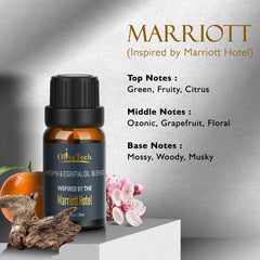 OliveTech diffuser oil pour shows a secure, leak-proof cap.