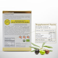 Desert Morocco olive leaves image emphasizing natural origin and purity