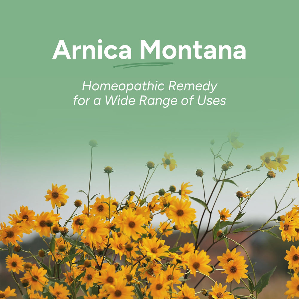 Dissolving OLLOIS Arnica Montana pellets under the tongue for fast use