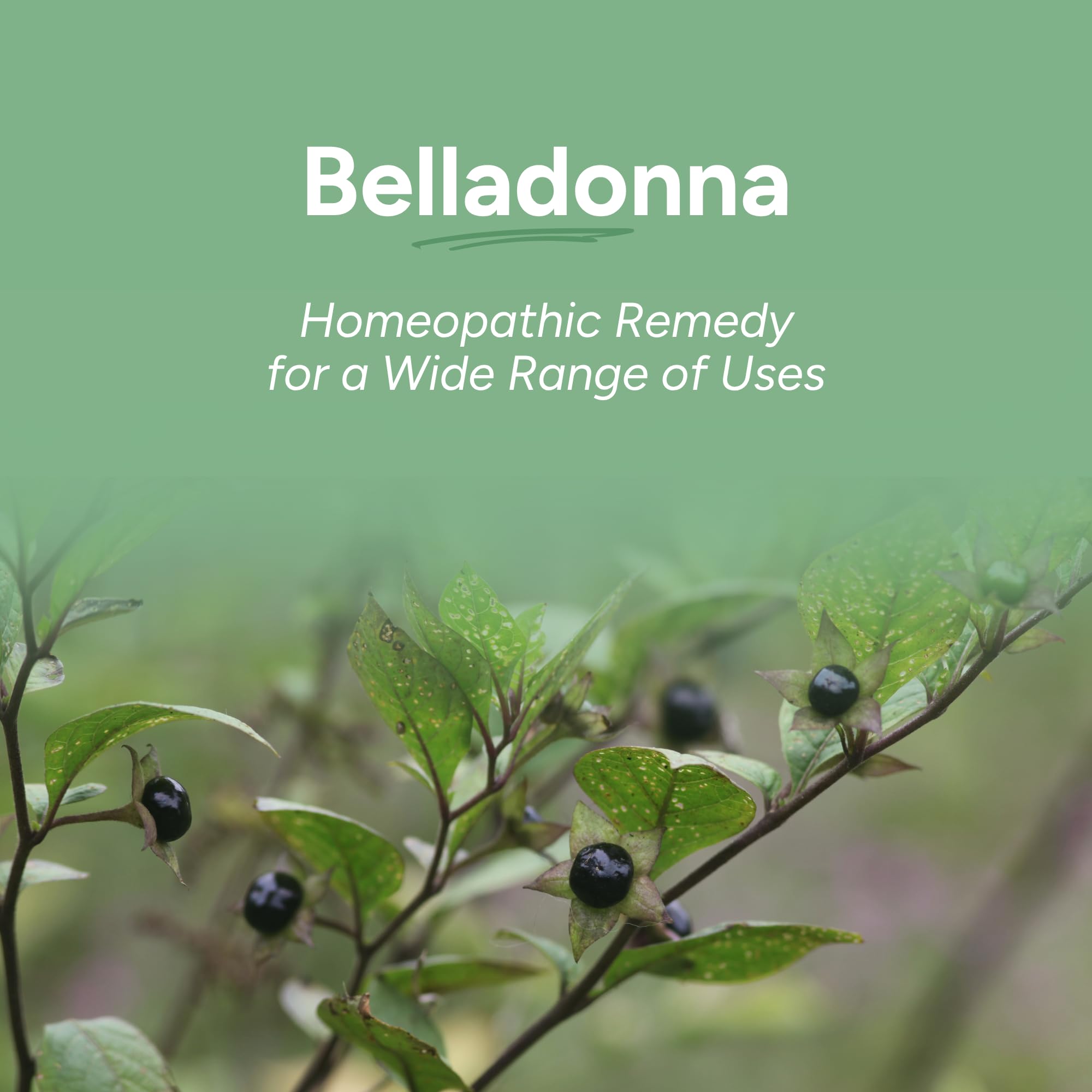 OLLOÏS Belladonna 30C pellets close-up indicating convenient dosing.