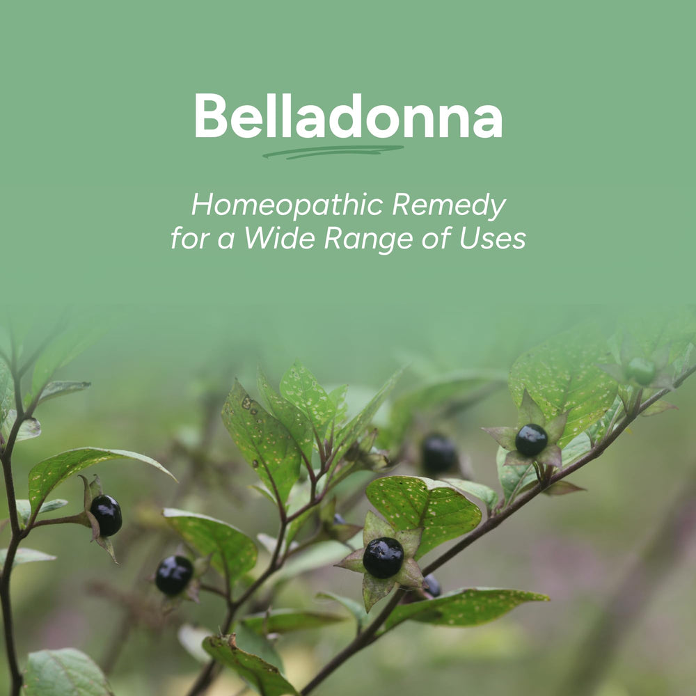 OLLOÏS Belladonna 30C pellets close-up indicating convenient dosing.