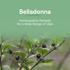 OLLOÏS Belladonna 30C pellets close-up indicating convenient dosing.