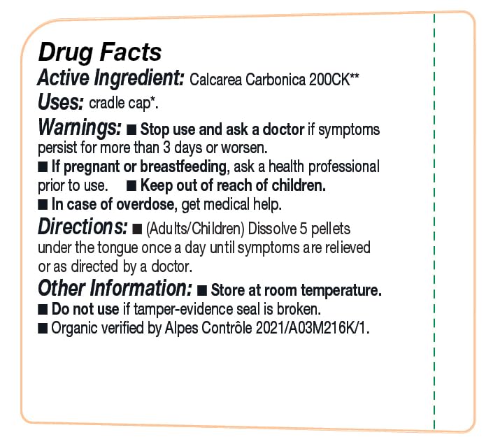 OLLOÏS Calcarea Carbonica 200ck packaging box indicating a 3-pack value for regular use