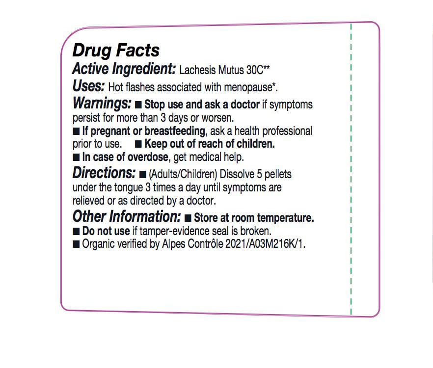 Organic, gluten-free lactose-free label on the OLLOÏS bottle.