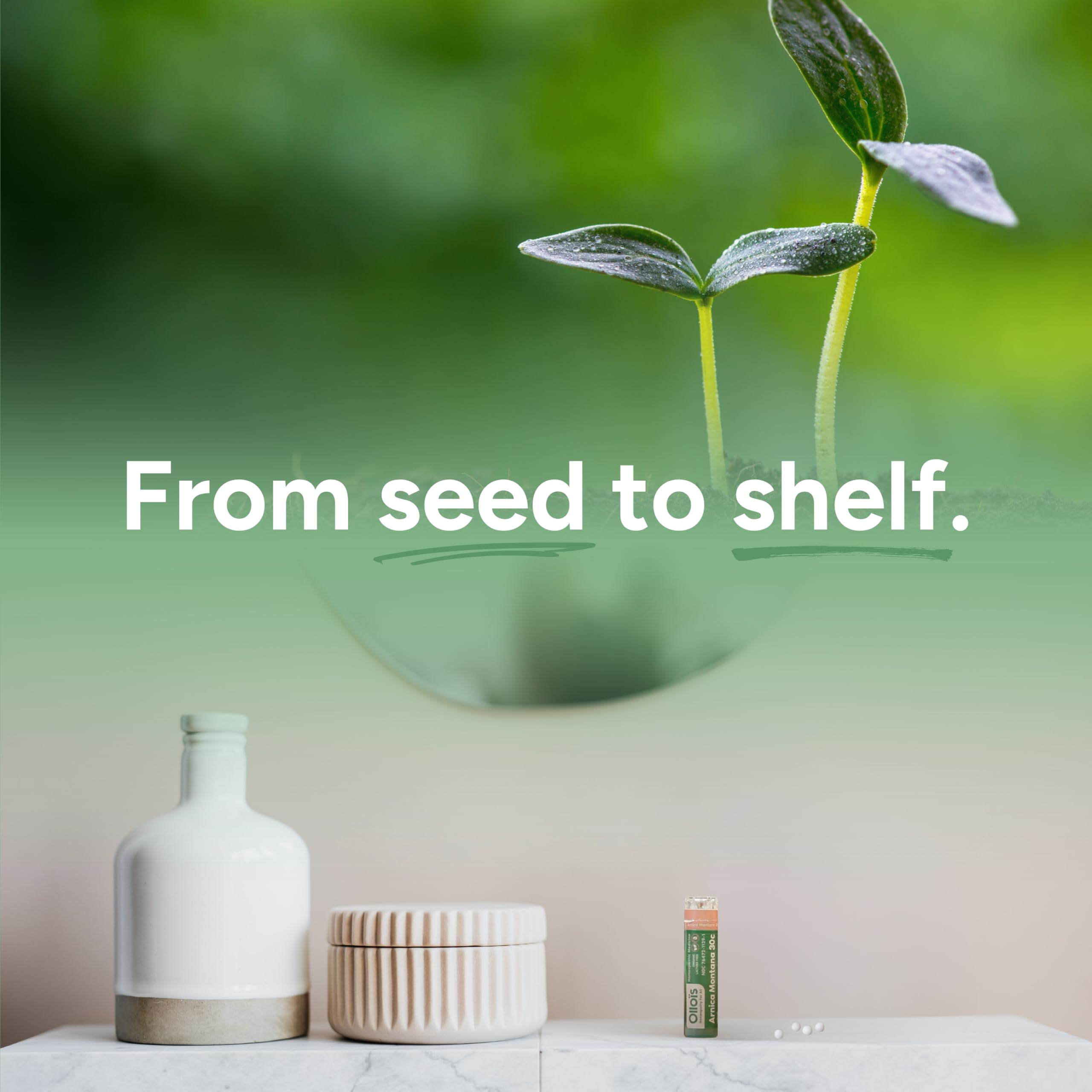OLLOÏS packaging showing organic vegan label and dietary properties