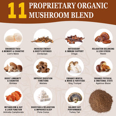OLOBIO powder jar 150g with the 11-mushroom blend
