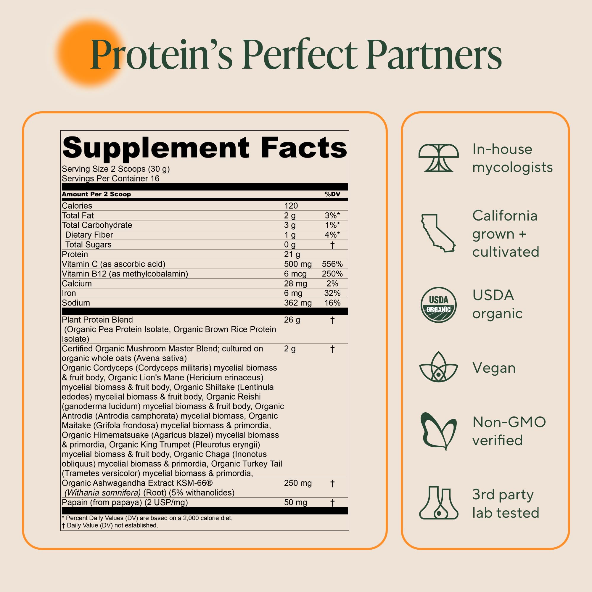 Close-up of OM Master Blend label highlighting organic mushrooms and vegan protein.