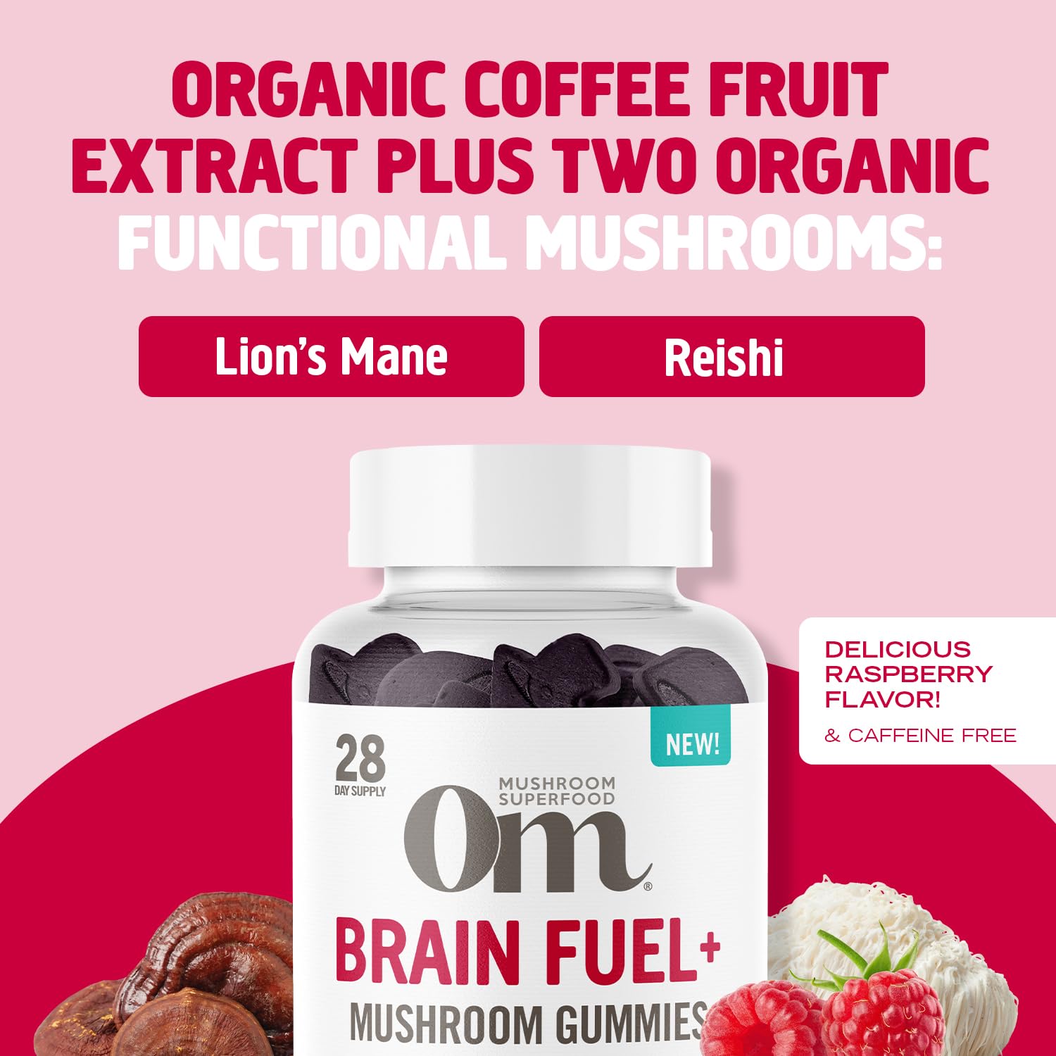 OM Mushroom Brain Fuel+ Gummies organic label signals clean, certified ingredients.
