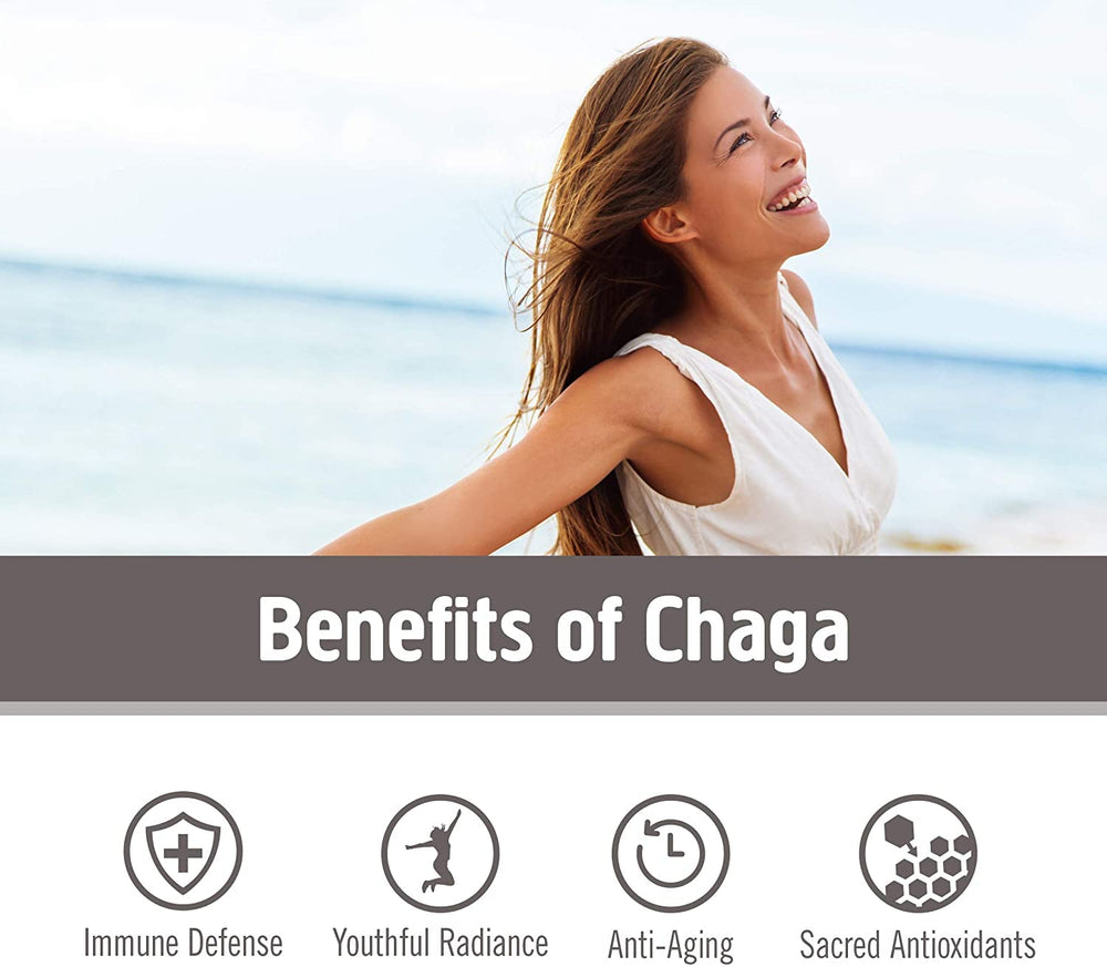 OM Mushroom Superfood Chaga powder scoop demonstrates simple daily dosing for consistent use.