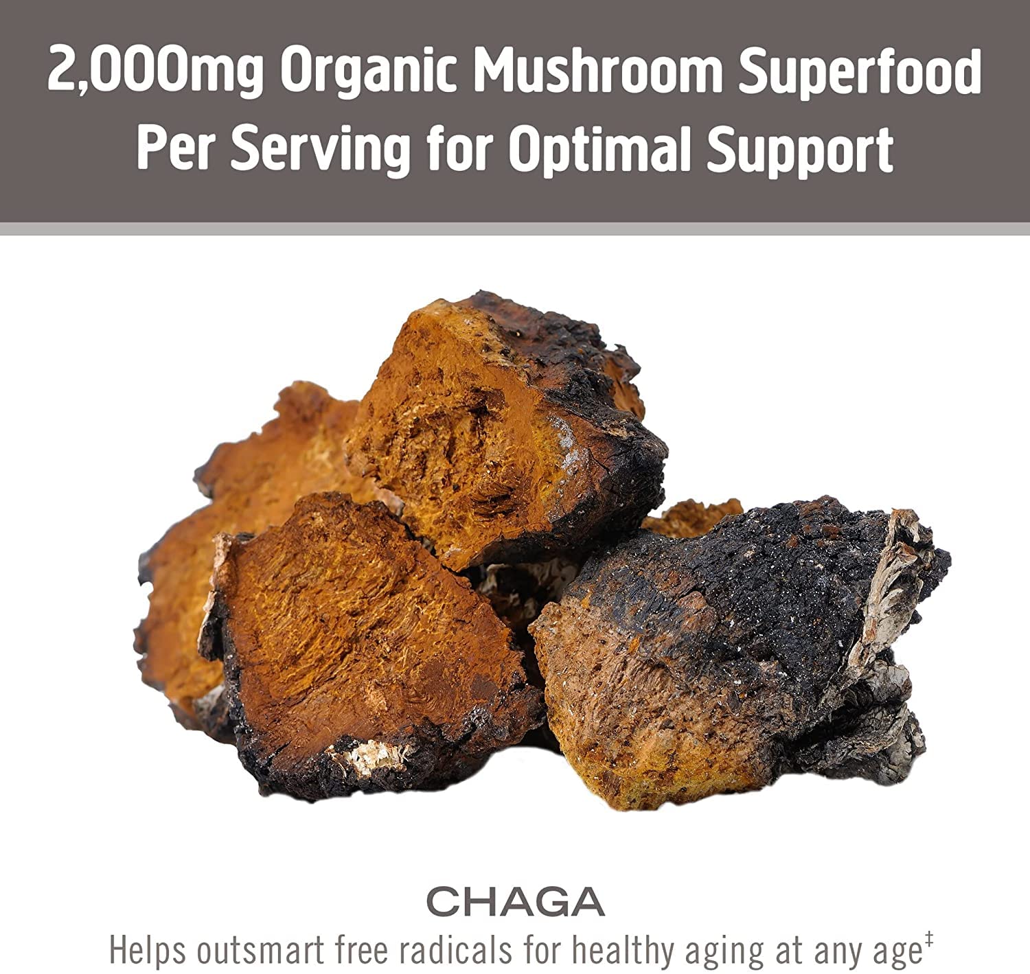 OM Mushroom Superfood Chaga powder in smoothie highlights easy incorporation.