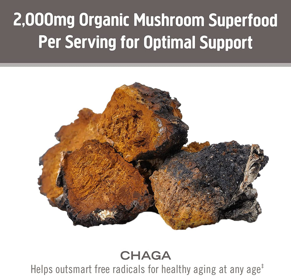 OM Mushroom Superfood Chaga powder in smoothie highlights easy incorporation.
