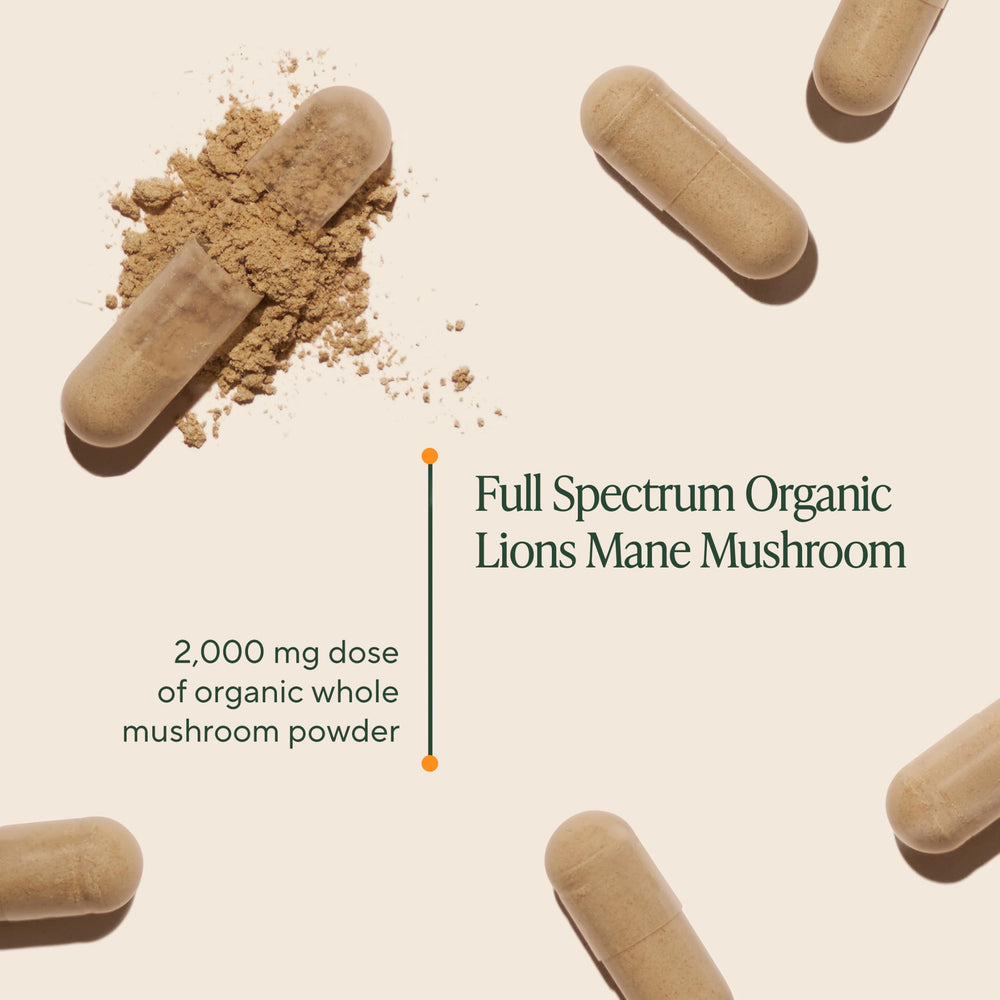 OM Mushroom Lion's Mane capsules closeup for daily cognitive support