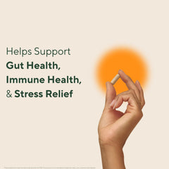 Close-up of OM Mushroom Master Blend capsules, highlighting the 10-mushroom blend for daily wellness.