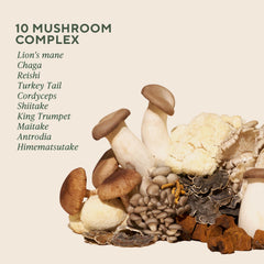 Label close-up on OM Mushroom Master Blend lists ingredients and serving details for informed use.