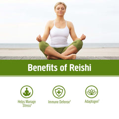 Om Mushroom Reishi powder stirred into coffee for a calm, focused start