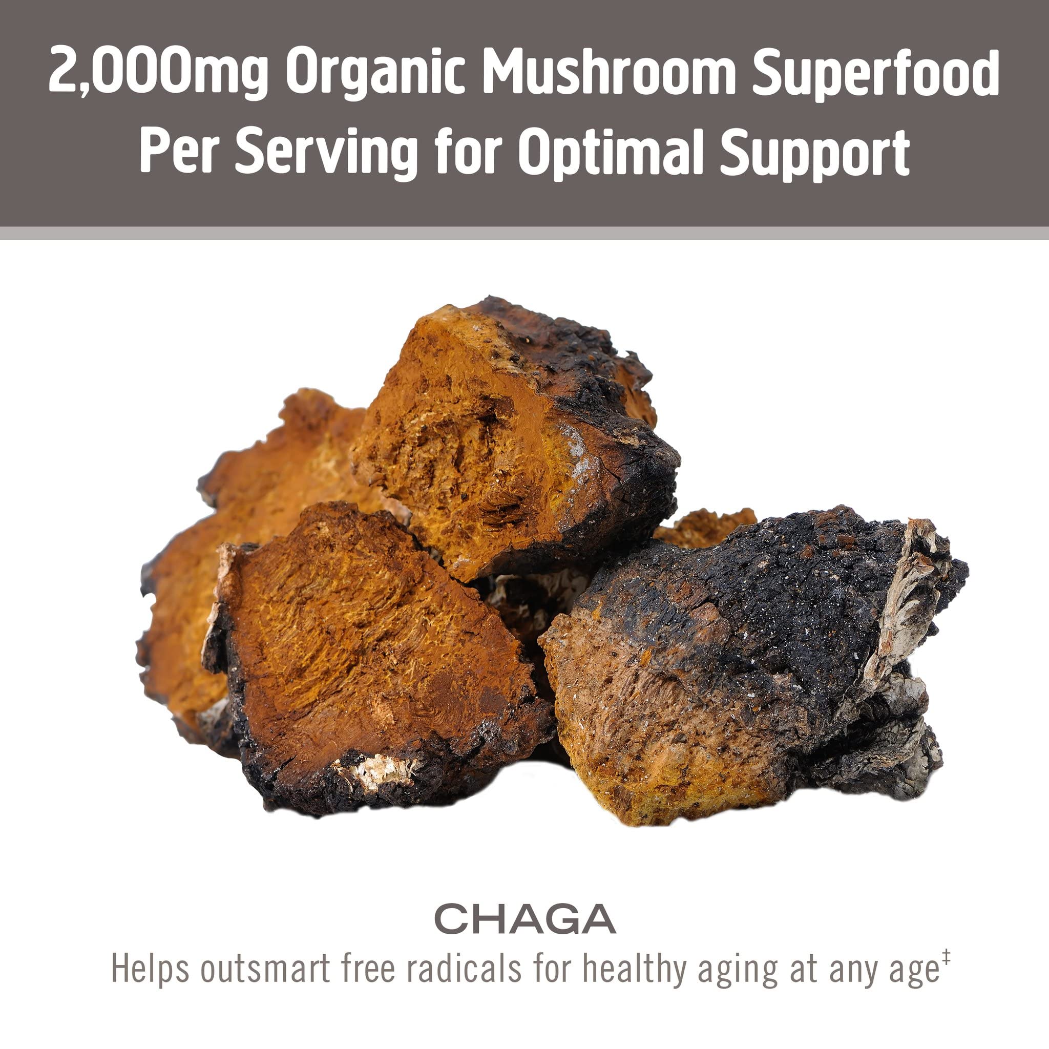 OM Mushroom Superfood Chaga Powder smoothie glass highlights versatile use