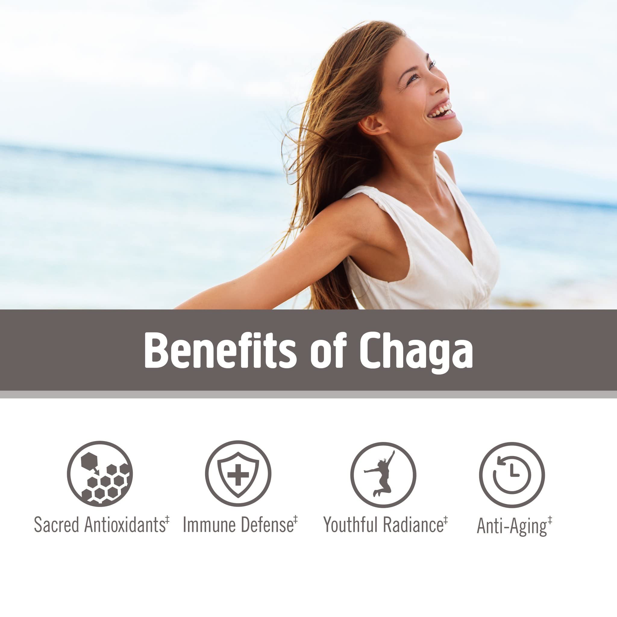 OM Mushroom Superfood Chaga Powder tea cup depicts soothing ritual