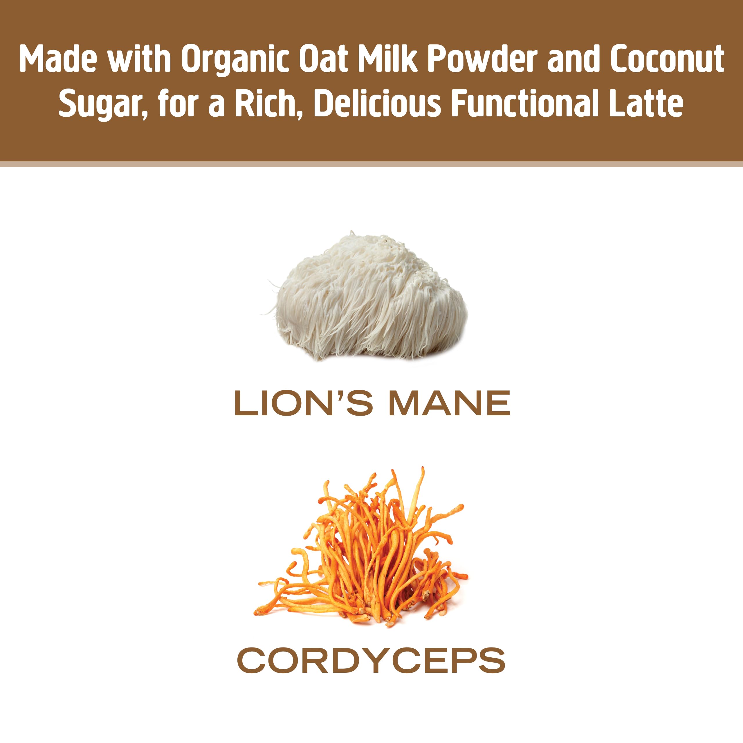 OM MUSHROOM SUPERFOOD Lions Mane feature emphasizing cognitive-friendly fungi for focus