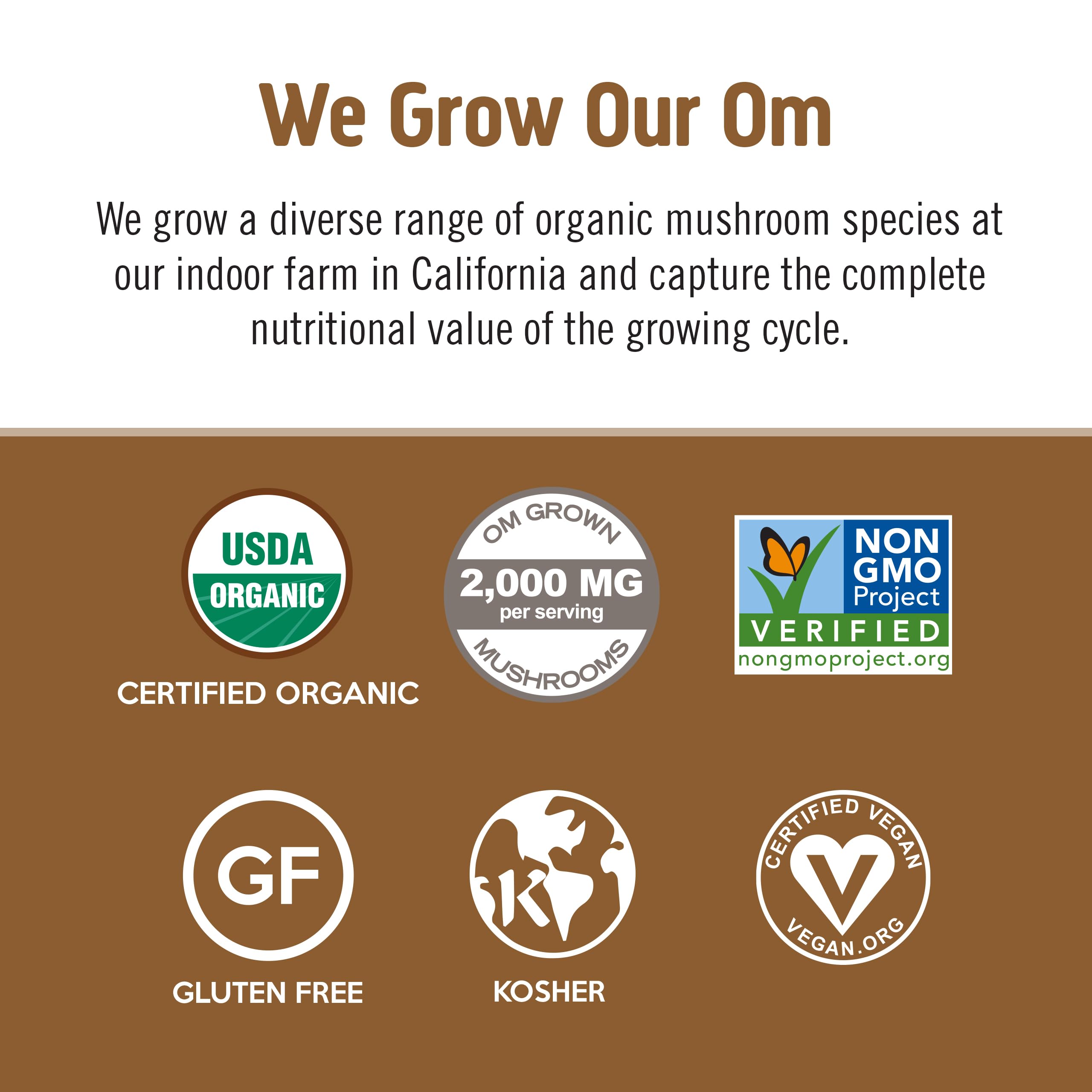 OM MUSHROOM SUPERFOOD latte mug ready for a creamy, focused cup