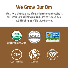 OM MUSHROOM SUPERFOOD latte mug ready for a creamy, focused cup