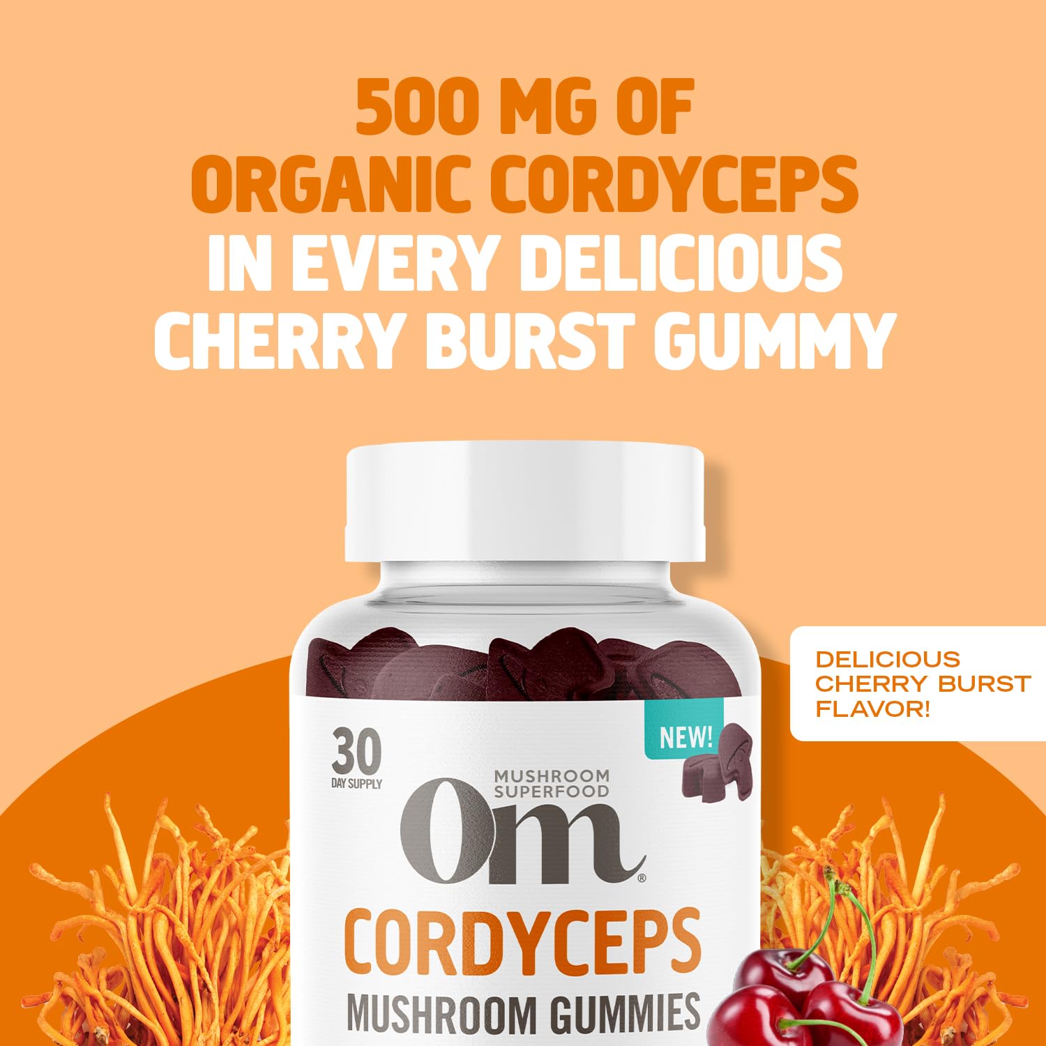 OM Mushroom Superfood Cordyceps Gummies cherry flavor for convenient stamina.
