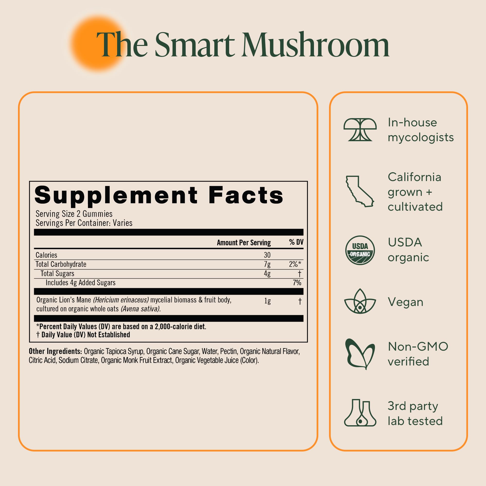 OM Mushroom Superfood gummies close-up shot showcases chewy texture and berry flavor.