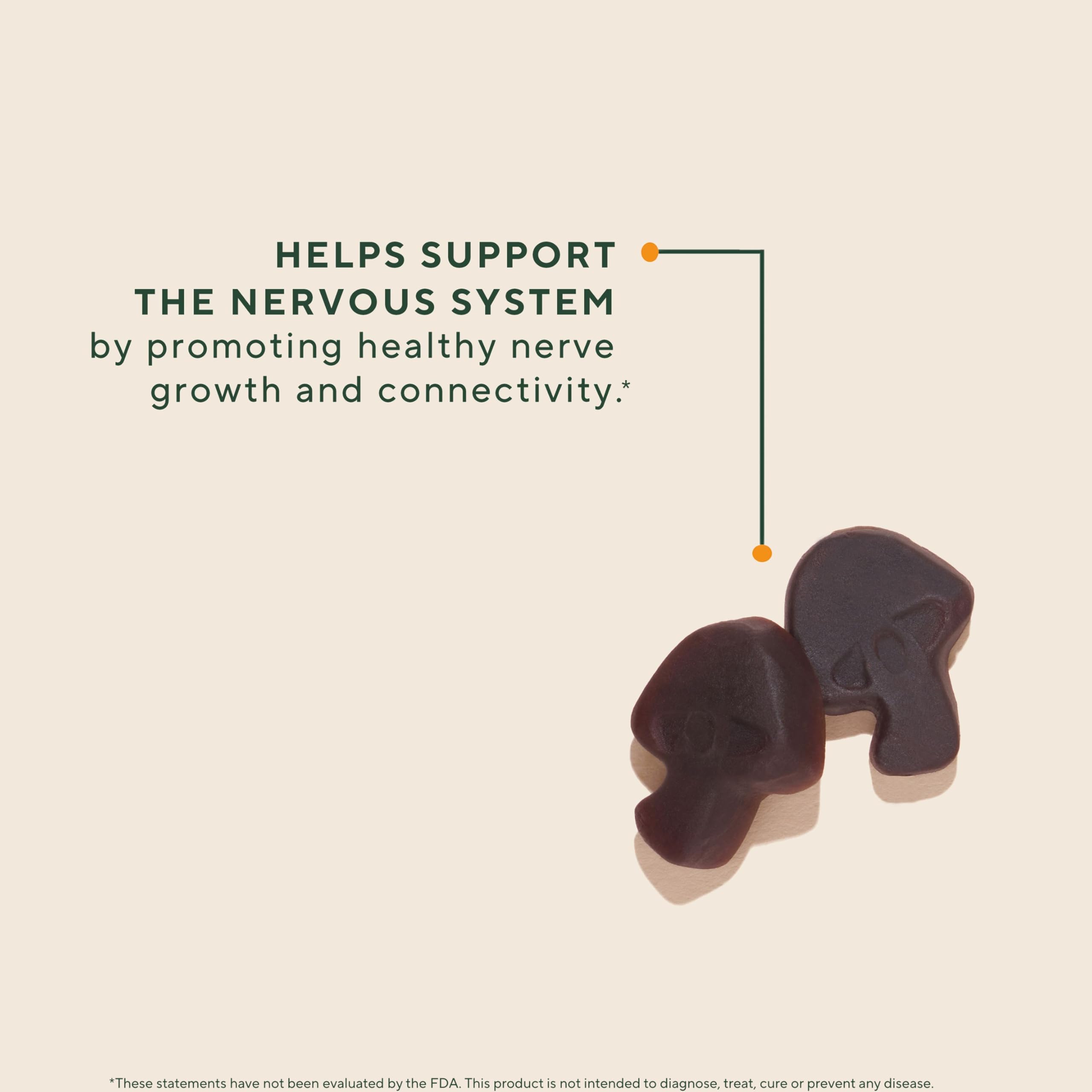 OM Mushroom Superfood Lions Mane gummies strawberry flavor close-up emphasizes tasty daily brain support.