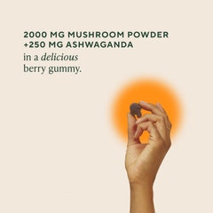 Close-up of OM Master Blend gummies showing chewy texture and berry flavor for daily use